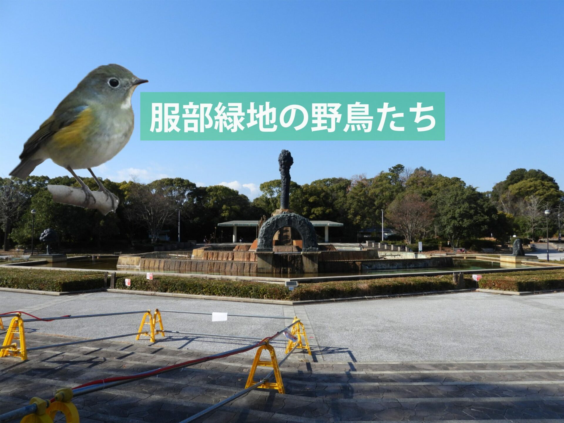 緑地環境科学 緑地環境科学 ｜朝倉書店
